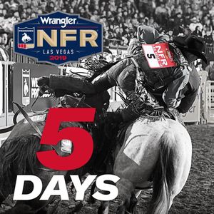 Image post by @prca_prorodeo on Instagram