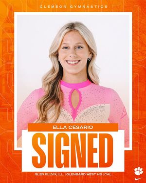 Image post by @clemsongymnastics on Instagram