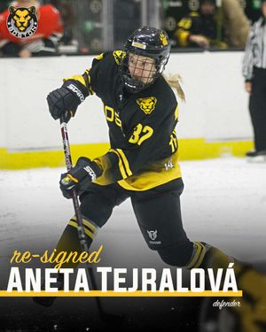 Image post by @TheBostonPride on Twitter
