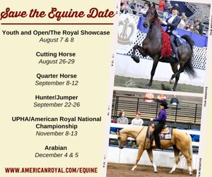 Image post by @american_royal on Instagram