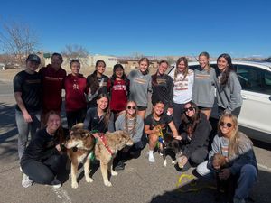 Image post by @coloradomesawomenssoccer on Instagram