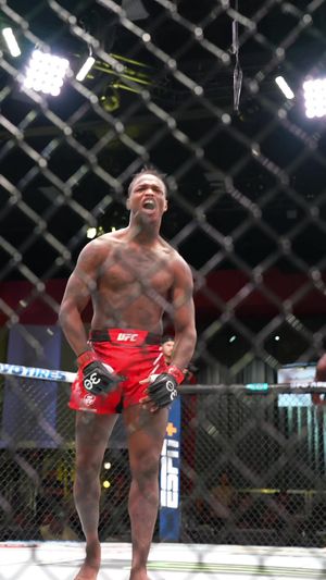 Video post by @ufc on TikTok
