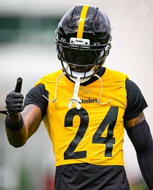 Image post by @steelers on Instagram