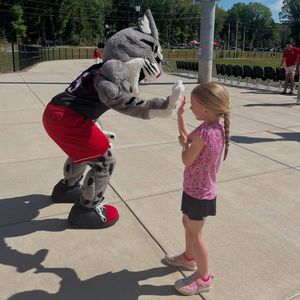 Image post by @davidsonwildcat on Instagram