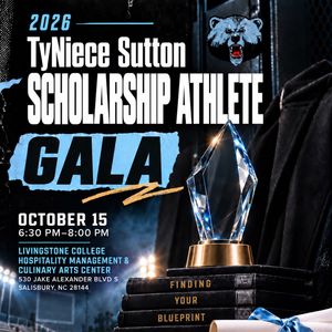 Image post by @bluebearathletics on Instagram