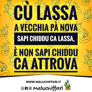 Image post by @maluchiffari on Instagram