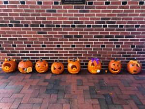 Image post by @hpuwlax on Instagram