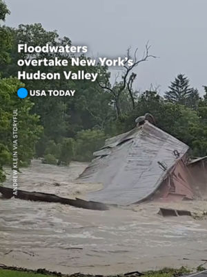 Video post by @usatoday on TikTok