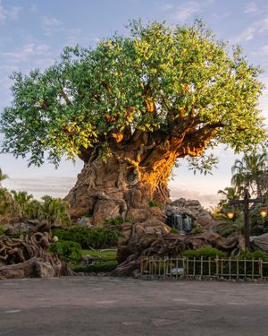 Image post by @waltdisneyworld on Instagram