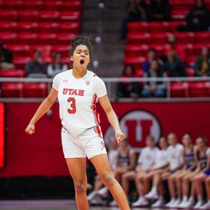 Image post by @utahwbb on Instagram