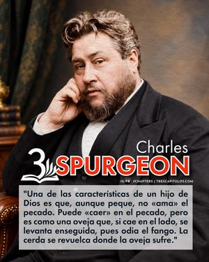 Image post by @3chapters on Instagram