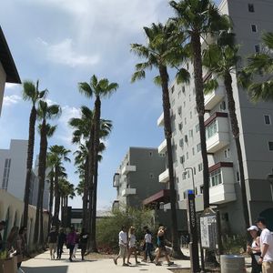 Image post by @sdsufowler on Instagram