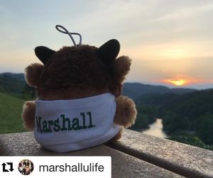 Image post by @marshallu on Instagram