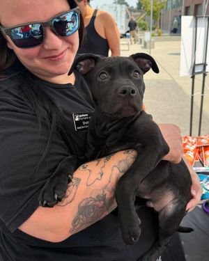 Image post by @spokhumanesoc on Instagram