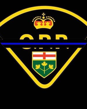 Image post by @backing.thethinblueline on Instagram