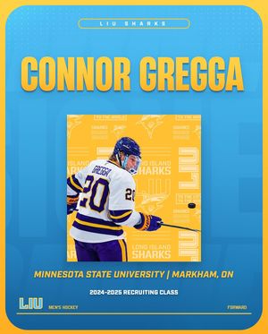 Image post by @liumhockey on Instagram