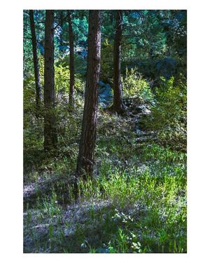 Image post by @W.39thPhotos on Facebook