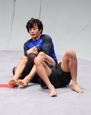 Image post by @ufcbjj on Instagram