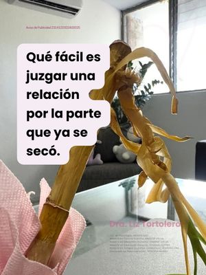Image post by @dra.liztortolero on Instagram