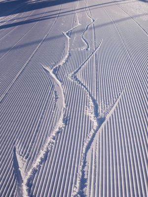 Image post by @mountaincreek on Instagram