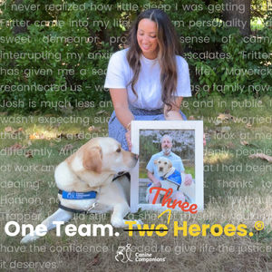 Image post by @canineorg on Instagram