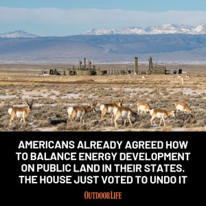 Image post by @outdoor_life on Instagram