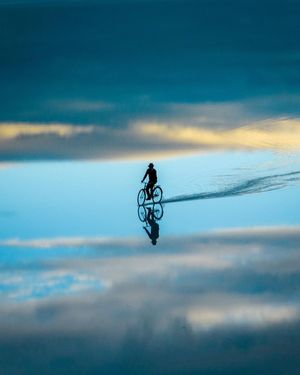 Image post by @fubiz on Instagram