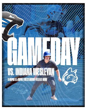 Image post by @usf_cougars on Instagram