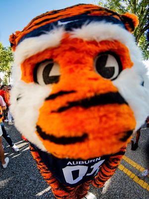 Image post by @aubiethetiger01 on Instagram