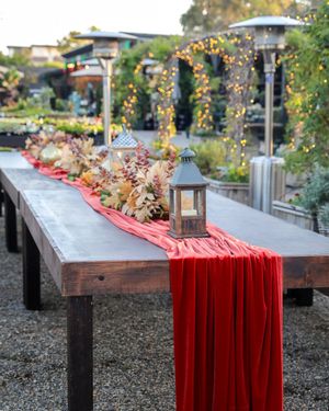 Image post by @rogersgardens on Instagram