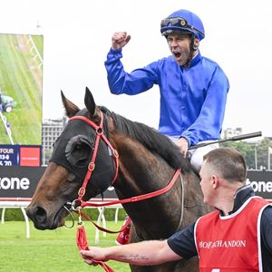 Image post by @godolphin on Instagram