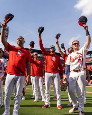 Image post by @cardinals on Instagram
