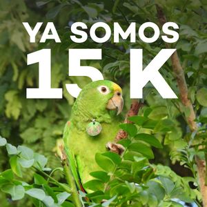 Image post by @fundacionloros on Instagram