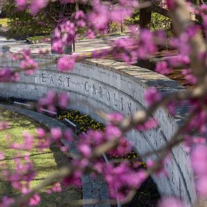 Image post by @ecuviews on Instagram