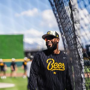 Image post by @saltlakebees on Instagram