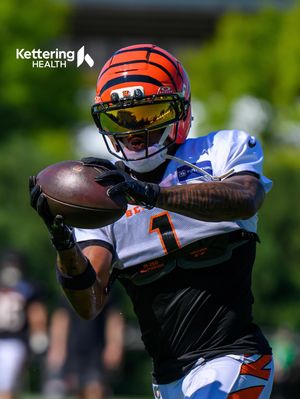Image post by @bengals on Instagram