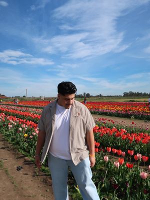 Image post by @tuchiquitobombon on Instagram