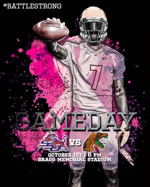 Image post by @famuathletics on Instagram