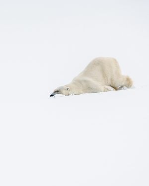 Image post by @sealegacy on Instagram