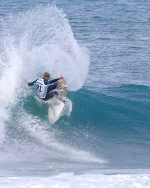 Image post by @cole_houshmand on Instagram