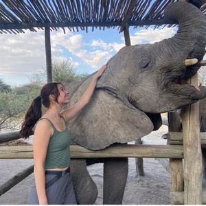 Image post by @cieestudyabroad on Instagram