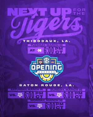 Image post by @LSUsoftball on Twitter