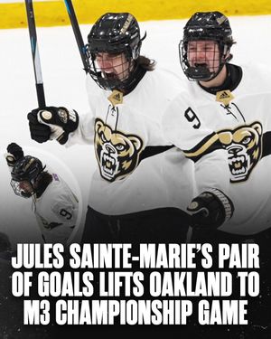 Image post by @hockeyhousepod on Instagram