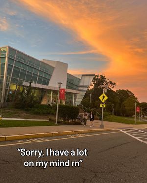 Image post by @stonybrooku on Instagram