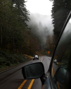 Image post by @picsbywinn on Instagram