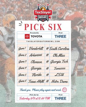 Image post by @taxslayergatorbowl on Instagram