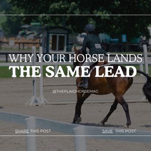 Image post by @theplaidhorsemag on Instagram