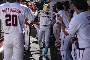 Image post by @baseballuga on Instagram