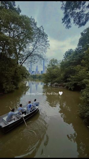 Video post by @hayleylewis_sports on TikTok