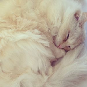Image post by @mrkate on Instagram